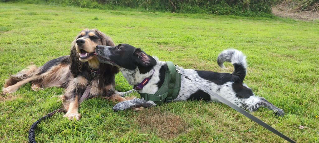 481476831 610931415253157 9217590978673388126 n