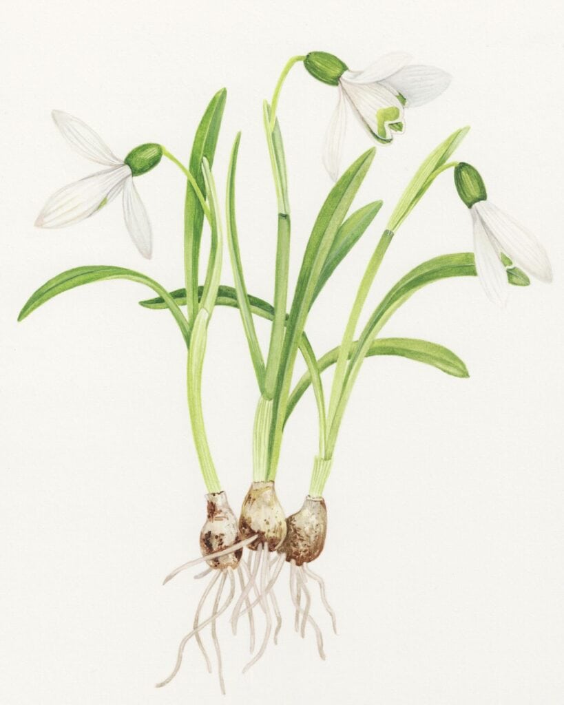 487272846 18495963346062363 1228553189160306924 n